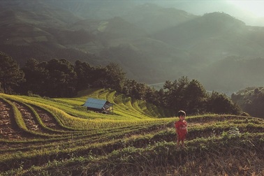 Mù Cang Chải đến để nhớ