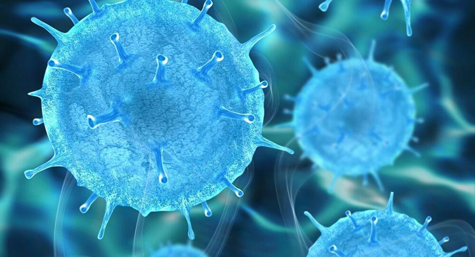 Các nhà khoa học Nga thử nghiệm virus có thể tiêu diệt tế bào ung thư - 1 Các nhà khoa học Nga thử nghiệm virus có thể tiêu diệt tế bào ung thư - 1
