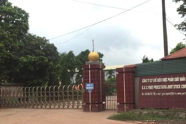 Công ty chế biến thực phẩm xuất khẩu “bức tử” môi trường tại Bắc Giang