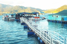 Khánh Hòa "siết" nhà hàng bè nổi đón du khách trên biển