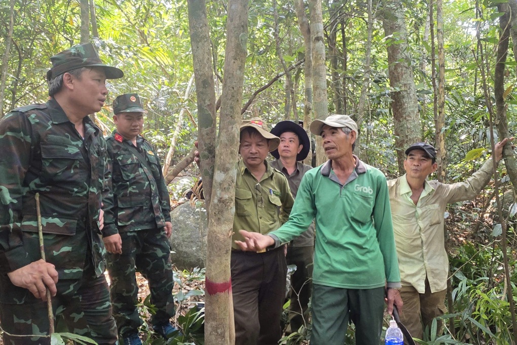Rừng chè cổ thụ quý hiếm hơn 100 năm tuổi trên núi Hòn Chảo - 1