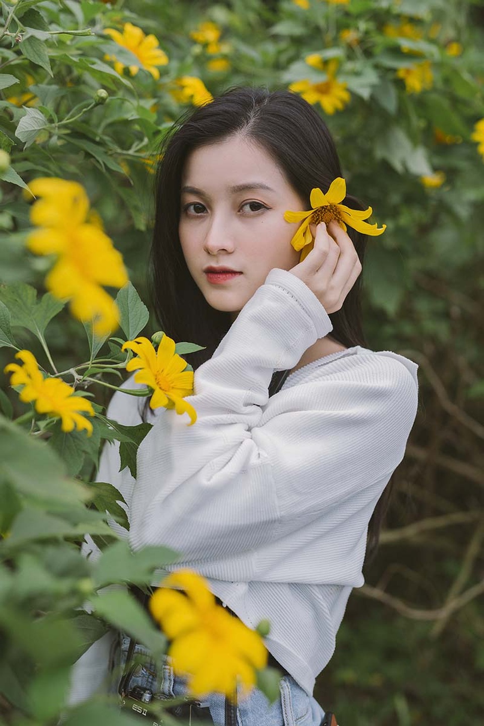 Thiếu nữ Bắc Giang “khoe” nét đẹp trong veo bên hoa dã quỳ - 6 Thiếu nữ Bắc Giang “khoe” nét đẹp trong veo bên hoa dã quỳ - 6