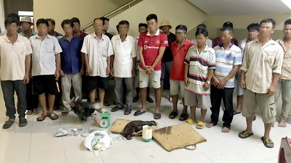 Phá trường gà ven rừng đước Cần Giờ - 1 Phá trường gà ven rừng đước Cần Giờ - 1