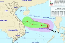 Bão số 8 có khả năng tan ngay trên biển