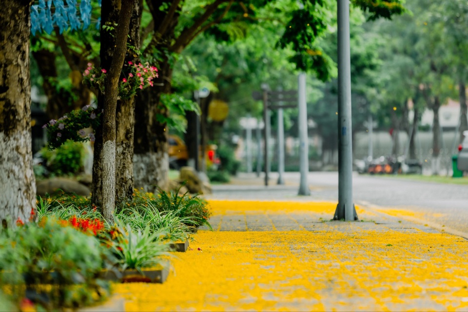Ecopark Marathon 2021 - Ngắm cung đường chạy giữa thiên nhiên Ecopark Marathon 2021 - Ngắm cung đường chạy giữa thiên nhiên