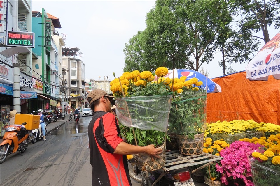 Kiếm dễ chục triệu bằng nghề chở kiểng ngày Tết - 5 Kiếm dễ chục triệu bằng nghề chở kiểng ngày Tết - 5