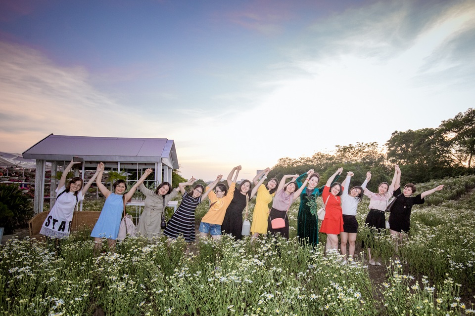 Lạc vào cánh đồng cúc họa mi 3.000m2 đẹp mê mẩn ở Hà Nội - 7 Lạc vào cánh đồng cúc họa mi 3.000m2 đẹp mê mẩn ở Hà Nội - 7