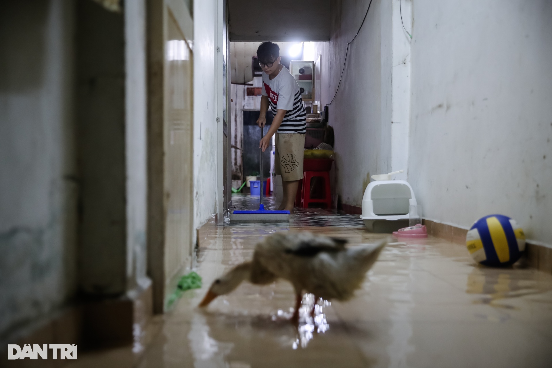 Vịt bơi vào nhà, đường biến thành sông sau mưa lớn ở TPHCM - 5 Vịt bơi vào nhà, đường biến thành sông sau mưa lớn ở TPHCM - 5