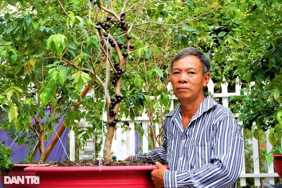 Bí quyết trồng nho lạ cho quả từ gốc tới ngọn, kiếm hàng chục triệu/tháng - 1 Bí quyết trồng nho lạ cho quả từ gốc tới ngọn, kiếm hàng chục triệu/tháng - 1
