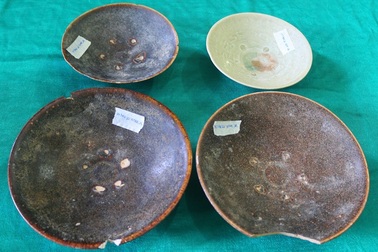 Phát hiện, sưu tầm nhiều hiện vật cổ quý hiếm