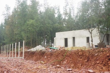 Vụ đào ao nuôi tôm phá luôn rừng phòng hộ: Xem xét trách nhiệm những người liên quan