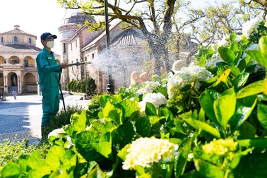 Sun World Ba Na Hills trước giờ G