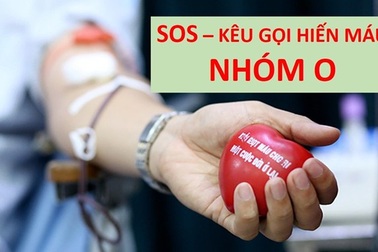 Thiếu máu nhóm O, Viện trưởng Viện Huyết học khẩn thiết kêu gọi cộng đồng hiến máu
