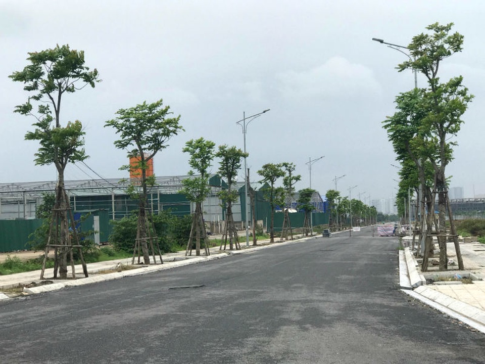 Khối tài sản lãng quên, bỏ hoang cuối làng bỗng dưng được giá - 2 Khối tài sản lãng quên, bỏ hoang cuối làng bỗng dưng được giá - 2