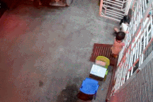 Nổi bật tuần qua: Lùi ẩu, tài xế suýt gây tai nạn kinh hoàng cho 2 em nhỏ