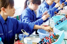 Năng suất lao động Việt Nam tăng 3 lần sau 20 năm nhưng chỉ bằng 1/3 Thái Lan