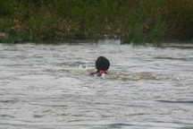 Dân chúng tôi mong muốn có được cây cầu!