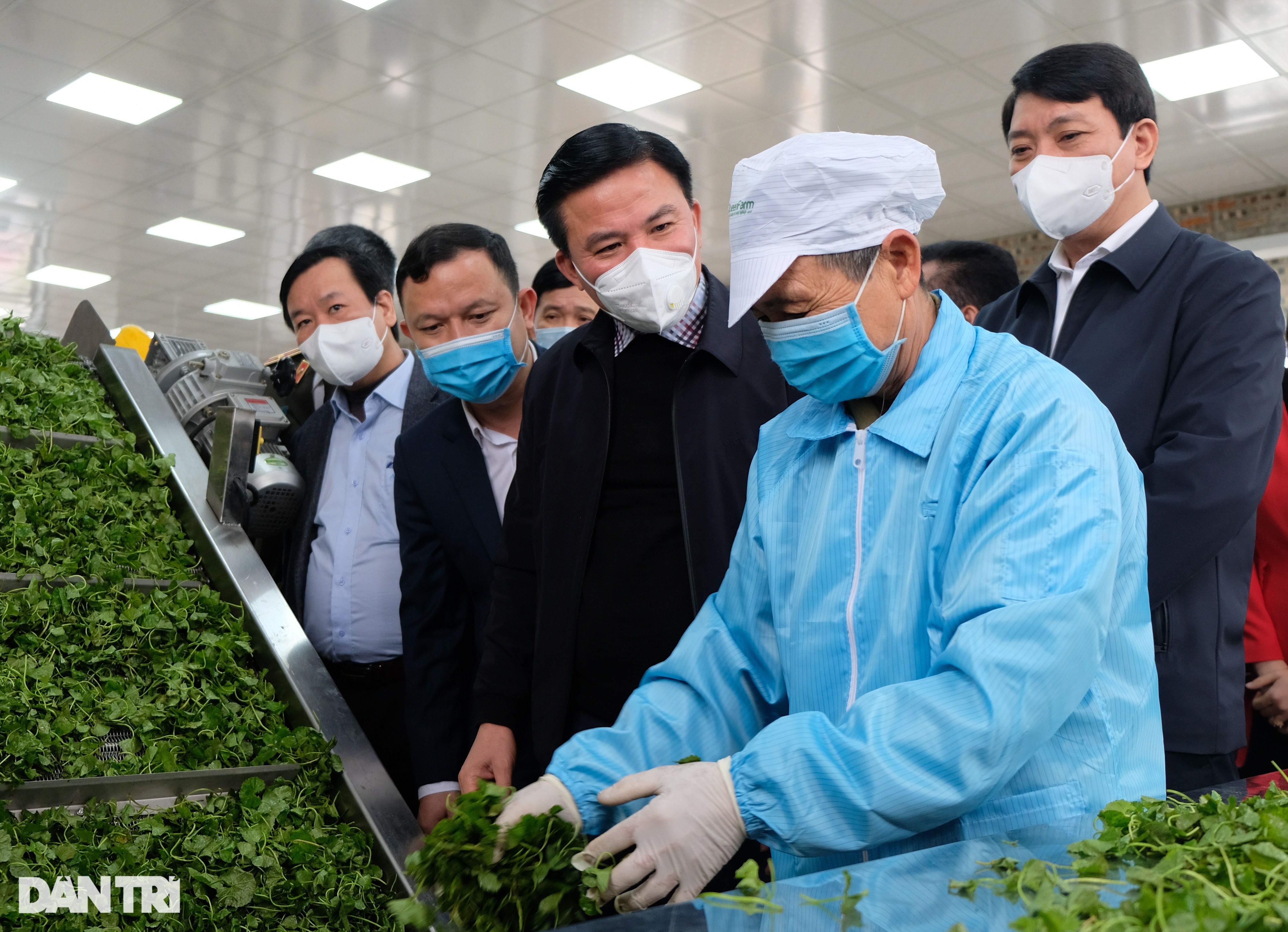 Thu nhập khủng từ chế biến sâm của người xứ Thanh đưa ra thế giới - 6 Thu nhập khủng từ chế biến sâm của người xứ Thanh đưa ra thế giới - 6