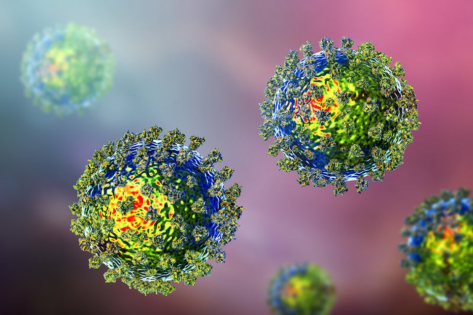 Phát triển thuốc có thể ngăn chặn coronavirus nhân lên từ 1000 – 5000 lần - 1 Phát triển thuốc có thể ngăn chặn coronavirus nhân lên từ 1000 – 5000 lần - 1