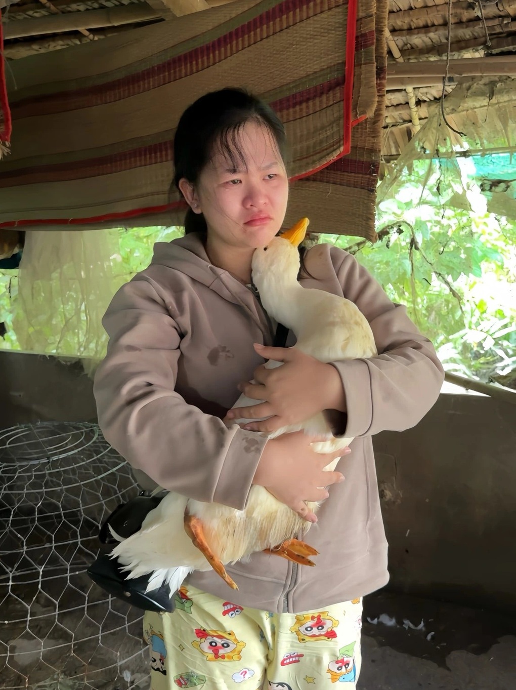 Chú vịt Bim Bim qua đời, chủ nhân khóc: Tôi sẽ không nuôi thêm vịt khác - 1 Chú vịt Bim Bim qua đời, chủ nhân khóc: Tôi sẽ không nuôi thêm vịt khác - 1