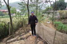 Chuyện về người mẹ và những "đứa con" kỳ lạ