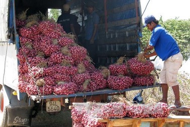 Làm rõ tin đồn người dân bị mù do hành tím