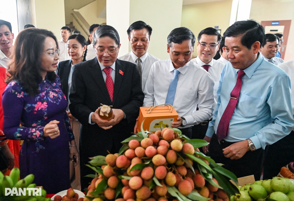 Phó Chủ tịch Quốc hội: Trái vải thiều giúp nhiều hộ dân vươn lên làm giàu - 1 Phó Chủ tịch Quốc hội: Trái vải thiều giúp nhiều hộ dân vươn lên làm giàu - 1