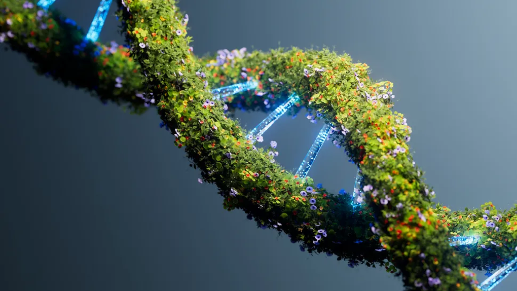 តើ DNA មានរយៈពេលប៉ុន្មានលានឆ្នាំ? - ១ DNA tồn tại được bao nhiêu triệu năm? - 1