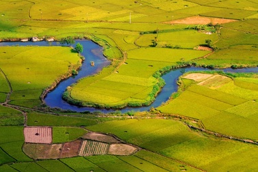 Đi ngay kẻo lỡ mùa lúa chín đẹp lung linh ở Bắc Sơn