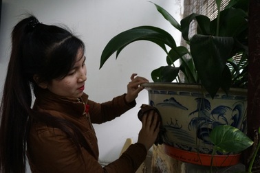 Dịch vụ dọn nhà dịp Tết: Làm không hết việc