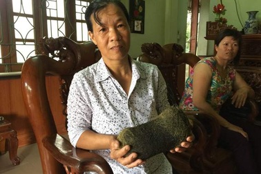 Lại xôn xao “vật quý” trong dạ dày lợn nái