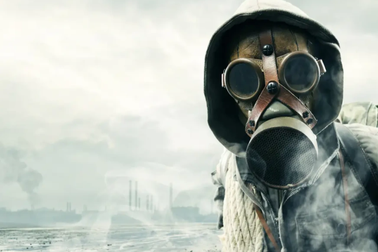 Sự thật đáng kinh ngạc về hạt phóng xạ độc hại sau một vụ nổ bom hạt nhân