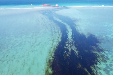 Mauritius chạy đua xử lý 1.000 tấn dầu tràn