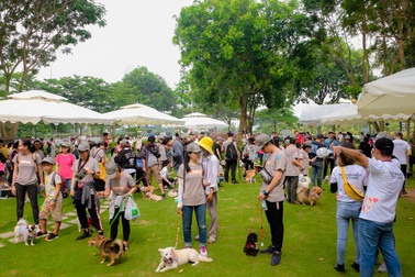 Bayer chung tay cùng cộng đồng lan toả tinh thần nuôi thú cưng có trách nhiệm