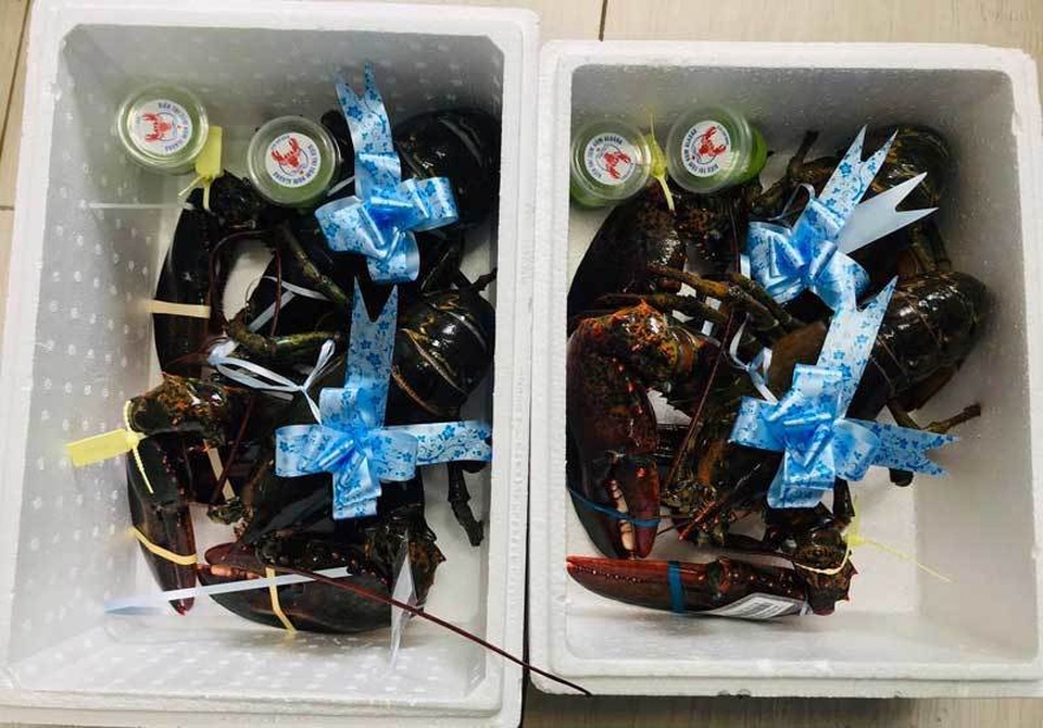 Tôm hùm, cua hoàng đế đóng hộp kính: Quà Tết trăm triệu đồng, sếp biếu nhân viên ăn ngay - 1 Tôm hùm, cua hoàng đế đóng hộp kính: Quà Tết trăm triệu đồng, sếp biếu nhân viên ăn ngay - 1