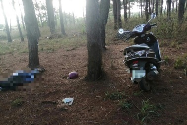 Phát hiện thi thể một nam thanh niên khi đang đi qua đồi thông