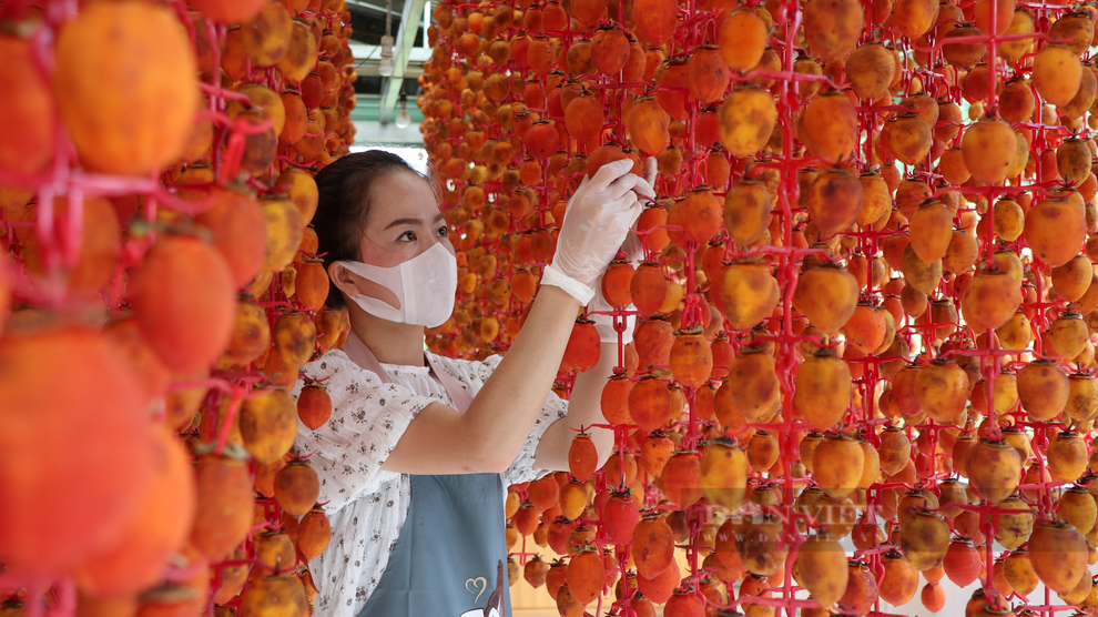 Vì sao người làm hồng treo gió Đà Lạt phải nắn nắn, bóp bóp mát xa cho quả hồng mỗi ngày? - 8 Vì sao người làm hồng treo gió Đà Lạt phải nắn nắn, bóp bóp mát xa cho quả hồng mỗi ngày? - 8