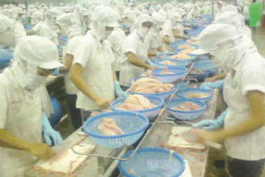 Mòn mỏi chờ “tháo gỡ” quy định bổ sung muối i-ốt vào thực phẩm