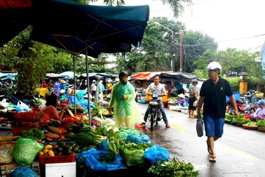 Hội An: Giá cả các loại rau củ tăng mạnh sau lụt