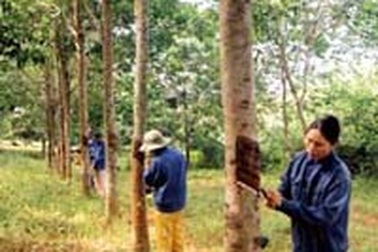 Dự án đầu tư ra nước ngoài lớn nhất từ trước đến nay