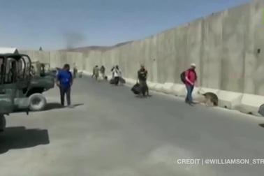 Binh sĩ Mỹ dắt chó nghiệp vụ sơ tán khỏi Afghanistan