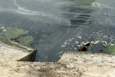 Hà Nội: Tảo phát triển mạnh gây ô nhiễm hồ Ngọc Khánh