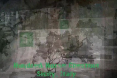 Top 10 cây cổ thụ lâu đời nhất thế giới