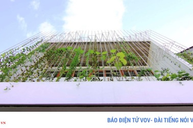 Ngôi nhà với "khu vườn đứng" độc đáo tạo không gian xanh