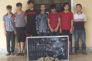 Khởi tố 8 đối tượng hủy hoại tài sản