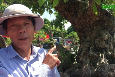 Chiêm ngưỡng cây lộc vừng tiền tỷ, lão nông mất gần nửa đời tạo tác
