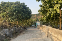 Đi tìm chó phát hiện bộ hài cốt trong bể nước