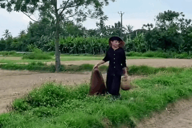 Chàng trai trẻ bỏ phố về quê làm trò "vô công rồi nghề" mà triệu người xem