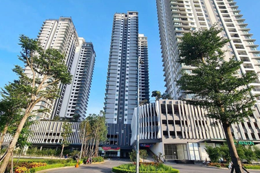 Chính phủ bỏ khung giá đất, sẽ áp dụng bảng giá đất mới từ năm 2026