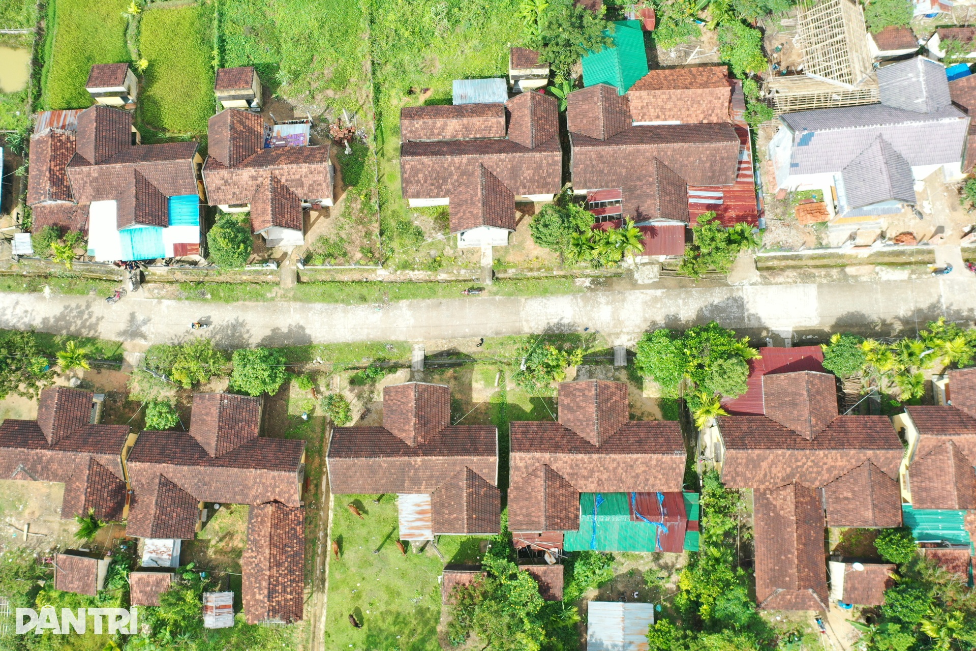 Chê biệt thự, người dân dựng nhà sàn để ở - 2 Chê biệt thự, người dân dựng nhà sàn để ở - 2